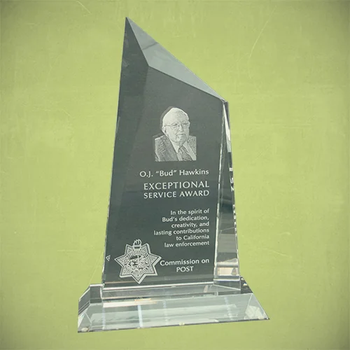 O.J. 'Bud' Hawkins Exceptional Service Award