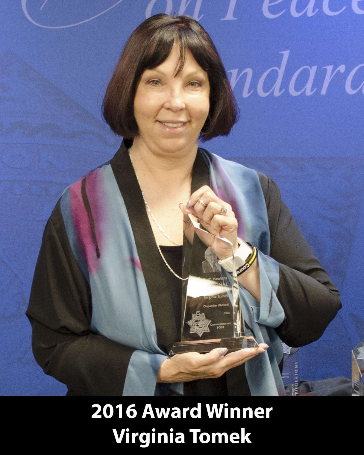 Virginia Tomek 2016 Exceptional Service Award Winner Virginia Tomek 2016 Exceptional Service Award Winner
